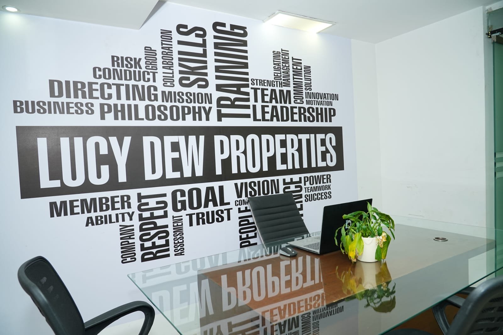 Lucy Dew Properties